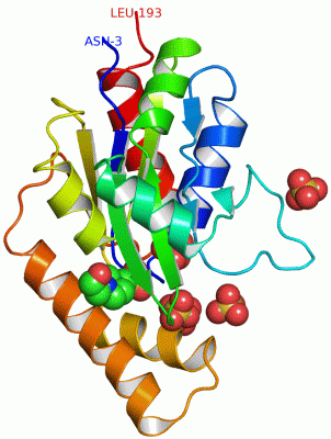 Image Asym./Biol. Unit - manually