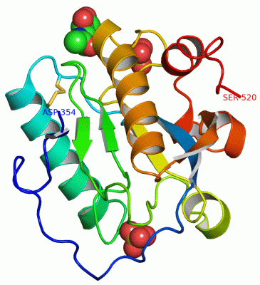 Image Asym./Biol. Unit - manually