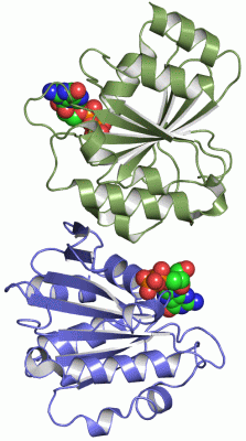 Image Asym.Unit - manually