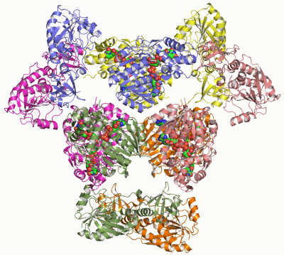 Image Asym./Biol. Unit - manually