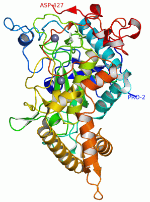 Image Asym./Biol. Unit - manually