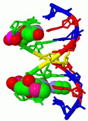 Image Biol.Unit 1 - manually