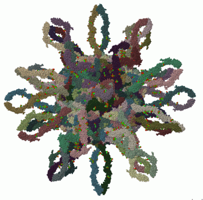 Image Biol.Unit 1 - manually
