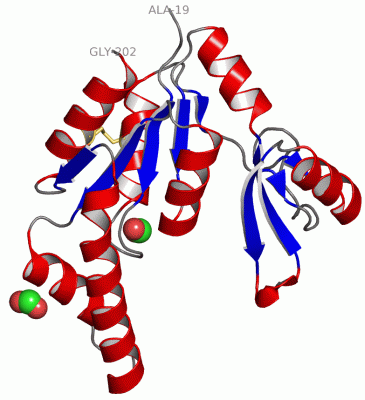 Image Asym./Biol. Unit - manually