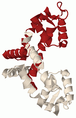 Image Biol.Unit 1 - manually