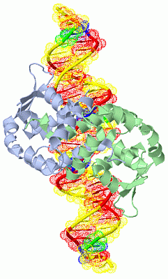 Image Biol.Unit 1 - manually