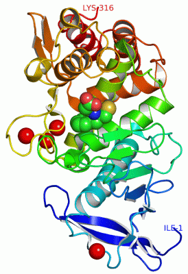 Image Asym./Biol. Unit - manually