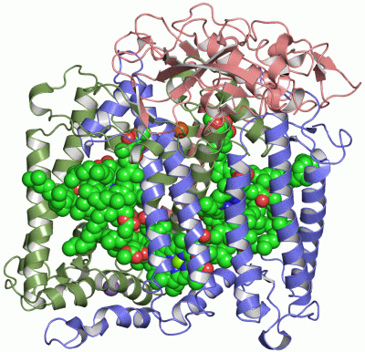 Image Asym./Biol. Unit - manually