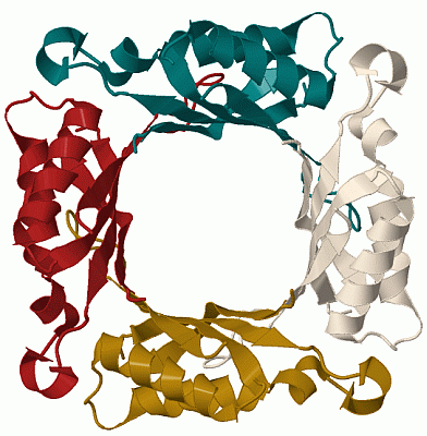 Image Biol.Unit 1 - manually