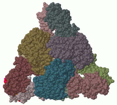 Image Biol.Unit 1 - manually