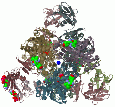 Image Biol.Unit 1 - manually