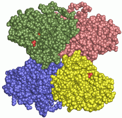 Image Asym./Biol. Unit - manually