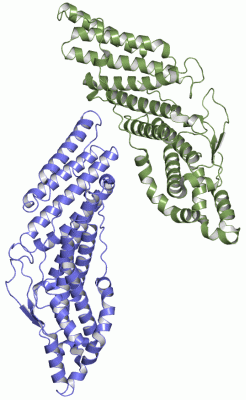 Image Asym.Unit - manually