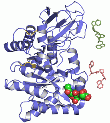 Image Asym./Biol. Unit - manually