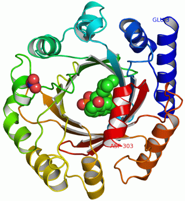 Image Asym./Biol. Unit - manually