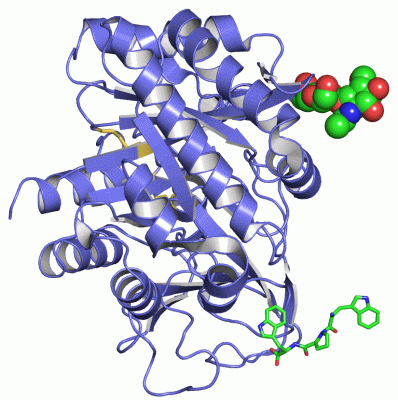 Image Asym./Biol. Unit - manually