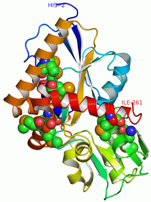 Image Asym./Biol. Unit - manually