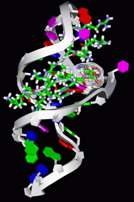 Image NMR Structure - manually