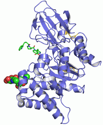 Image Asym./Biol. Unit - manually