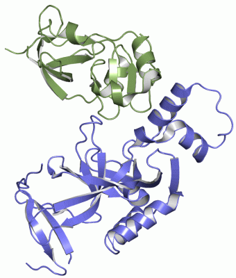 Image Asym./Biol. Unit - manually