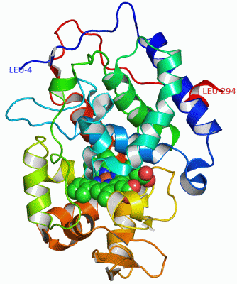 Image Asym./Biol. Unit - manually