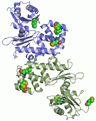 Image Asym./Biol. Unit - manually