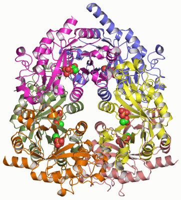 Image Asym./Biol. Unit - manually