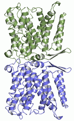 Image Asym.Unit - manually