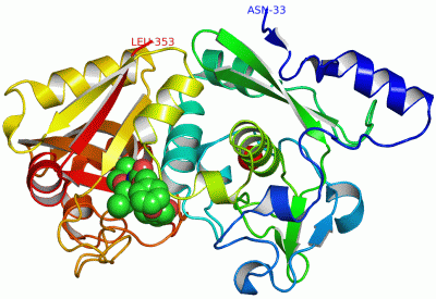 Image Asym./Biol. Unit - manually