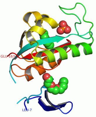 Image Asym./Biol. Unit - manually