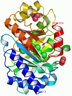 Image Asym./Biol. Unit - manually