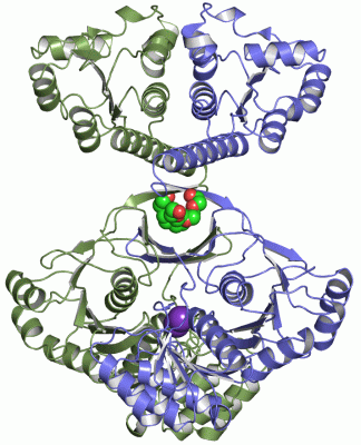 Image Asym./Biol. Unit - manually