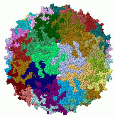 Image Biol.Unit 1 - manually