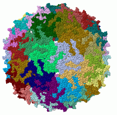 Image Biol.Unit 1 - manually