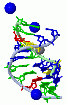 Image Asym./Biol. Unit - manually