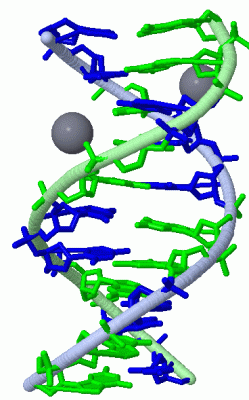 Image Asym./Biol. Unit - manually