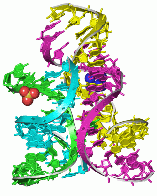 Image Asym./Biol. Unit - manually