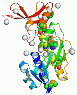 Image Asym./Biol. Unit - manually