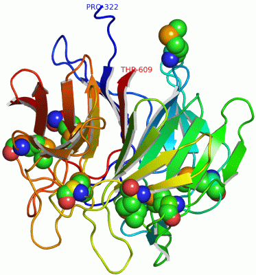 Image Asym./Biol. Unit - manually