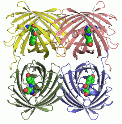 Image Asym./Biol. Unit - manually