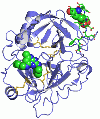 Image Asym./Biol. Unit - manually