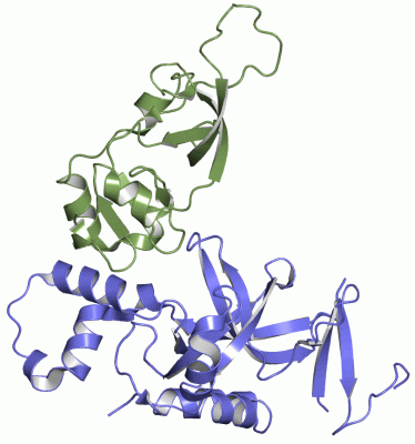 Image Asym./Biol. Unit - manually