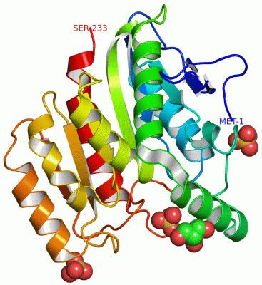 Image Asym./Biol. Unit - manually