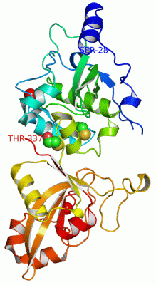 Image Asym./Biol. Unit - manually