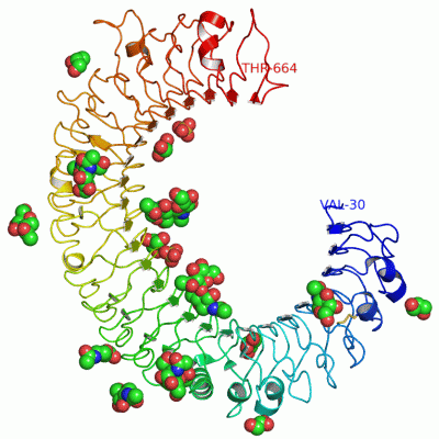 Image Asym./Biol. Unit - manually