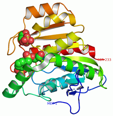 Image Asym./Biol. Unit - manually