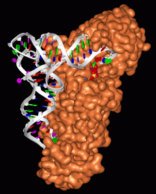 Image Asym./Biol. Unit - manually