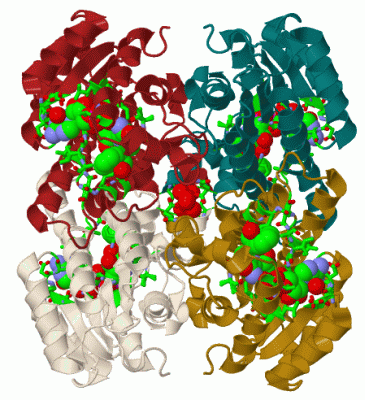 Image Biol.Unit 1 - manually