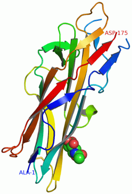 Image Asym./Biol. Unit - manually