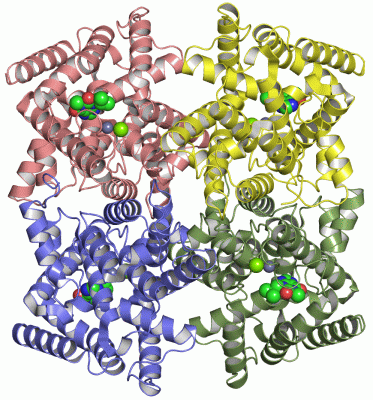 Image Asym./Biol. Unit - manually